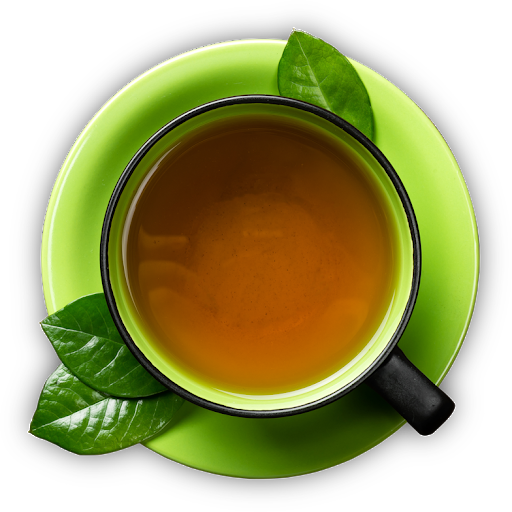 Green Mint Tea Cup Top View PNG with transparent background