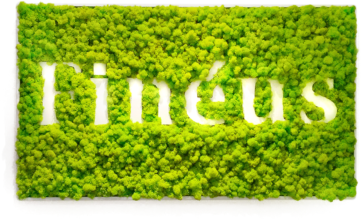 Green Moss Wall Art Fintus Logo