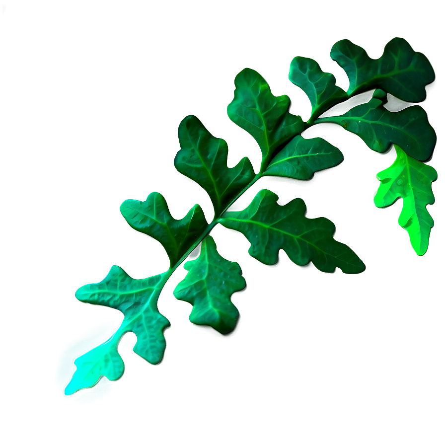 Green Oak Leaf Graphic Png 06292024