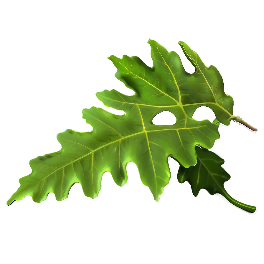 Green Oak Leaf Graphic Png Uew92