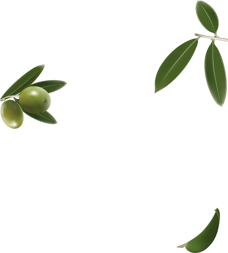 Green Olives Branch Blue Background