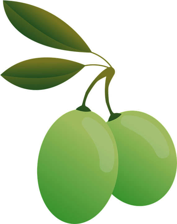 Olive Transparent Background, HD Png Download PNG with transparent background