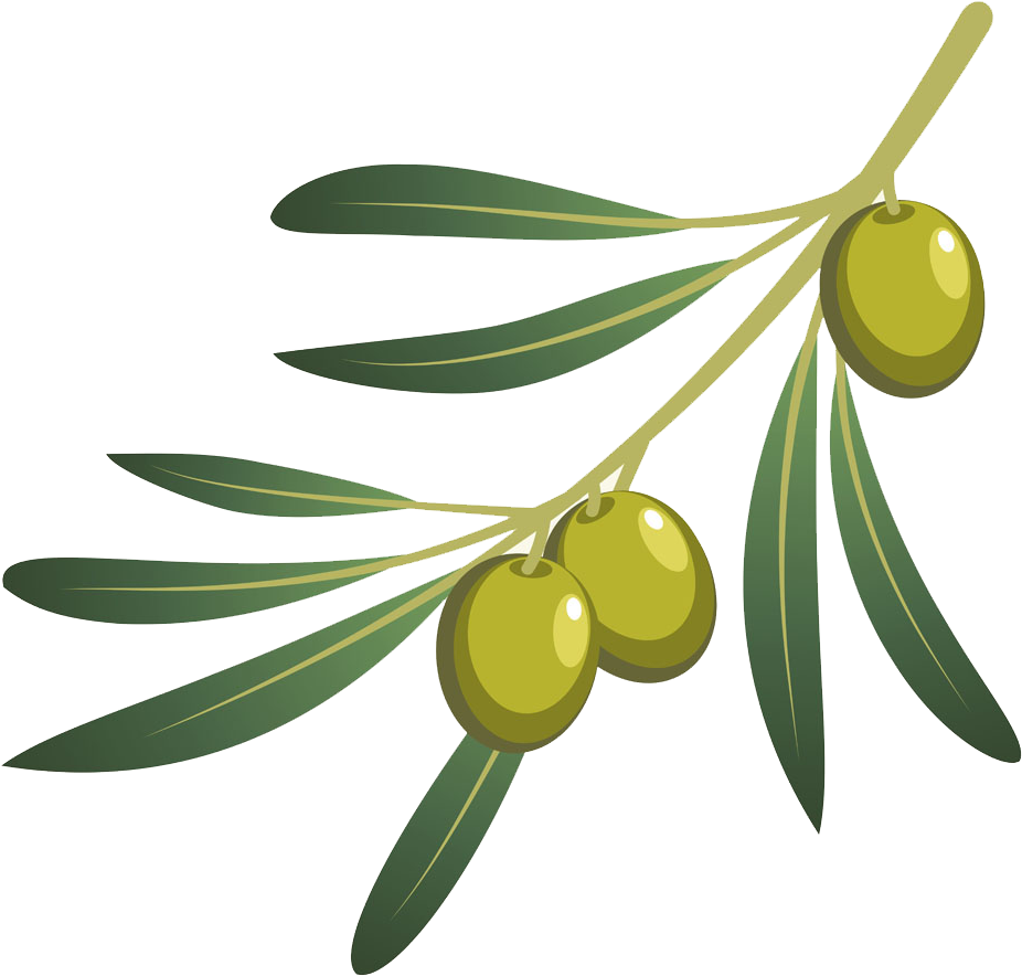 Green Oliveson Branch Vector