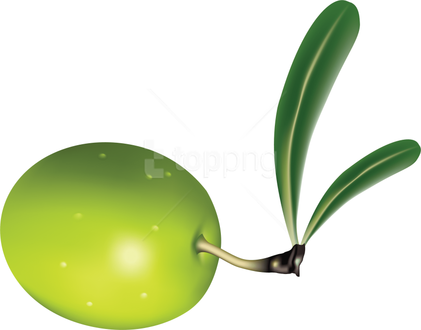 Free Png Download Olives Clipart Png Photo Png Images - Olive Png, Transparent Png PNG with transparent background