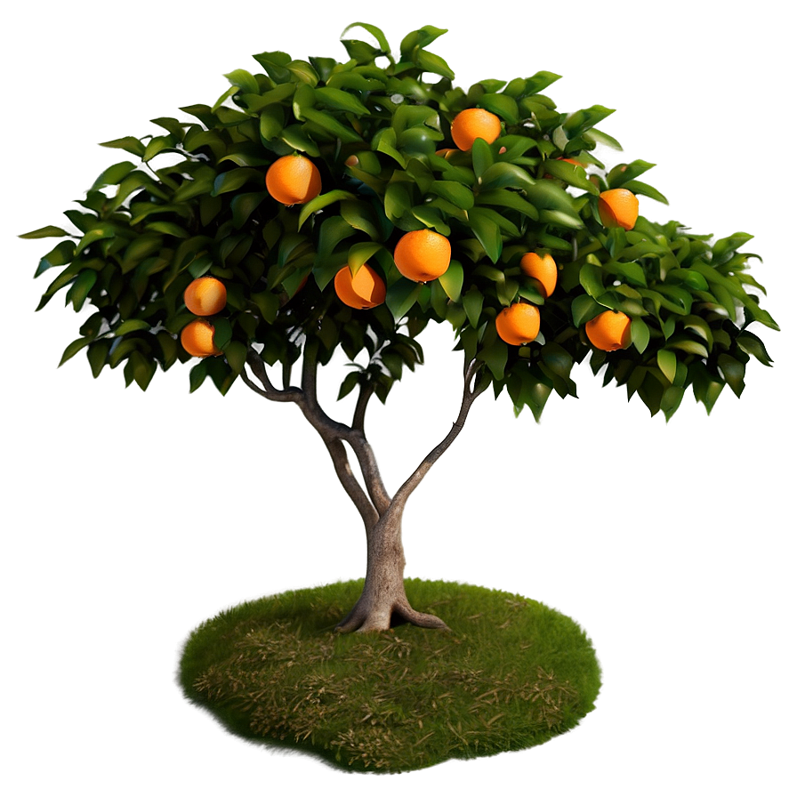 Green Orange Tree Png Nfo