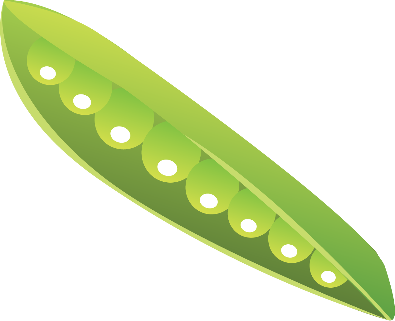 Green Pea Pod Illustration