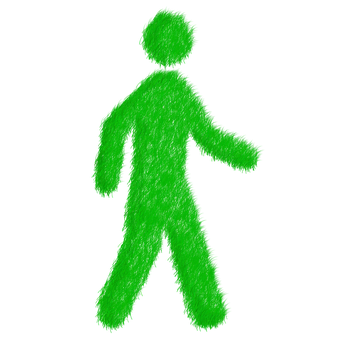 Green Pedestrian Signal