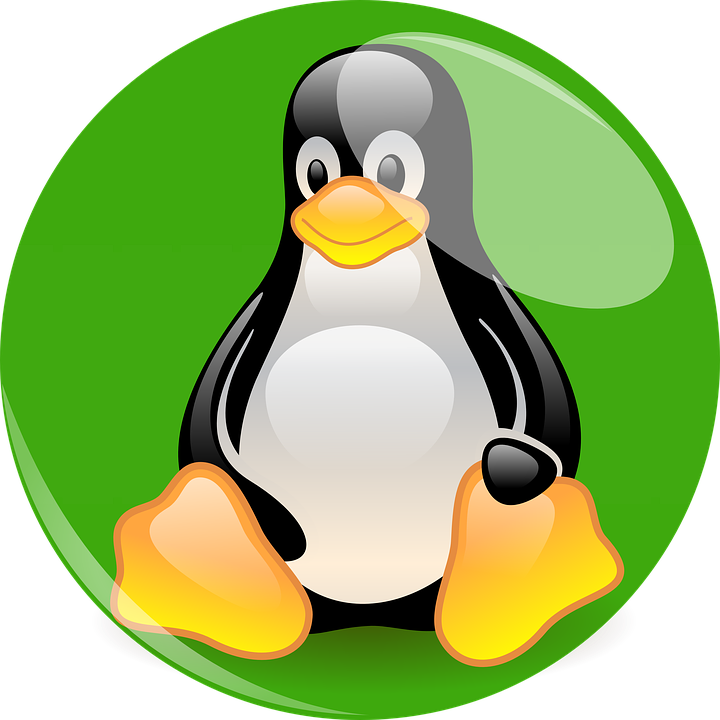 Green Penguin, Linux, Mascot, Cartoon Character, Fig, - Linux Pinguin, HD Png Download PNG with transparent background