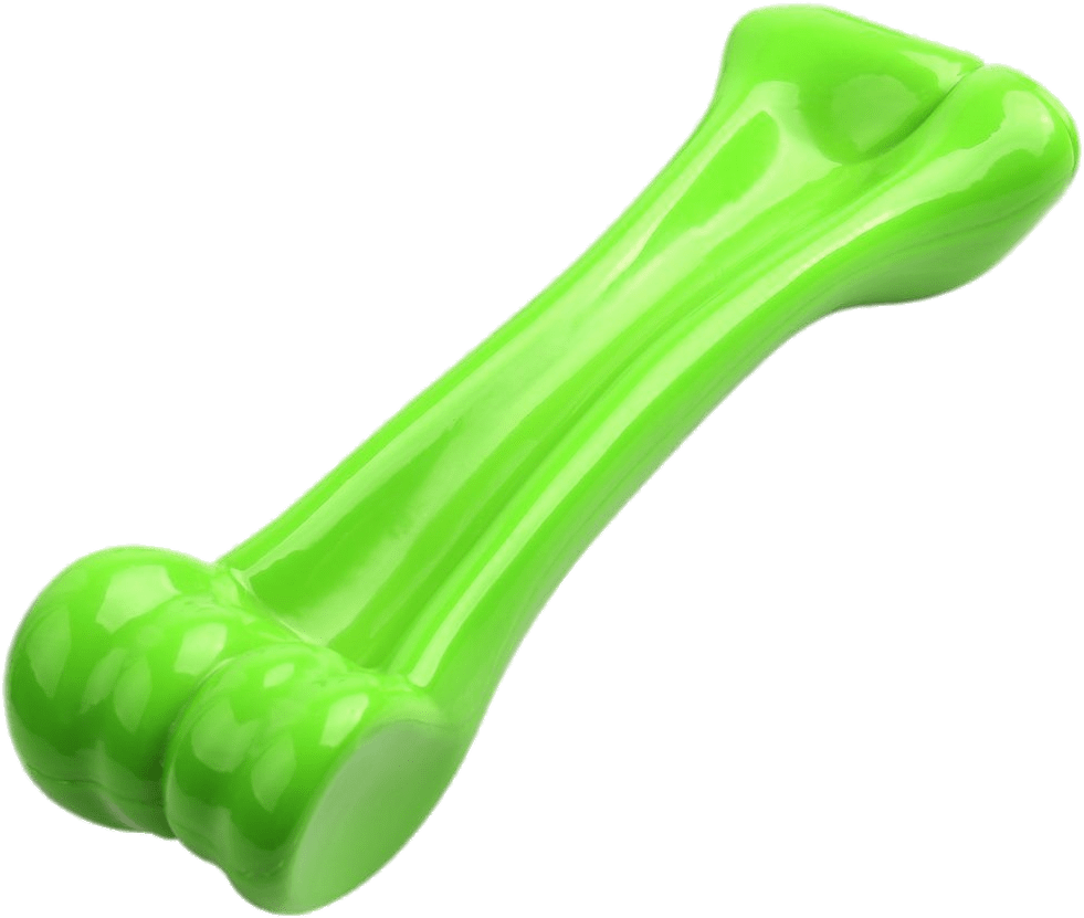 Green Plastic Dog Bone Toy