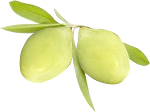 Green Plums With Leaves