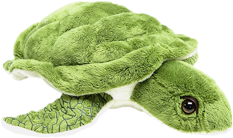 Green Plush Sea Turtle Toy PNG with transparent background