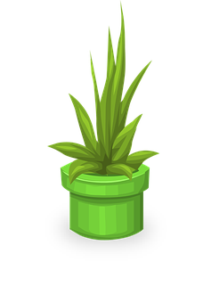 Green Potted Plant Illustration PNG with transparent background