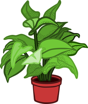 Green Potted Plant Illustration