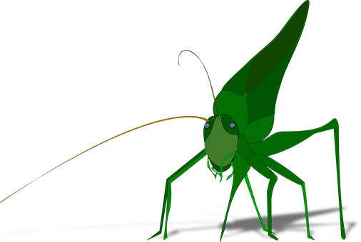 Green Praying Mantis Illustration PNG with transparent background