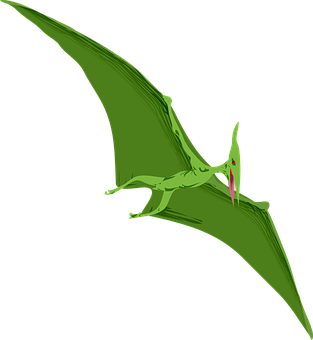 Green Pterosaur Illustration