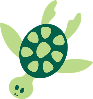 Green Sea Turtle Illustration PNG with transparent background