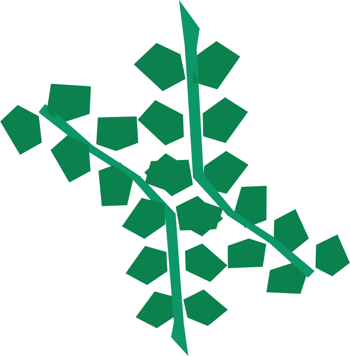 The Runescape Wiki - Seaweed Png Runescape, Transparent Png PNG with transparent background