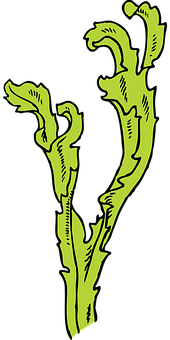 Green Seaweed Illustration PNG with transparent background