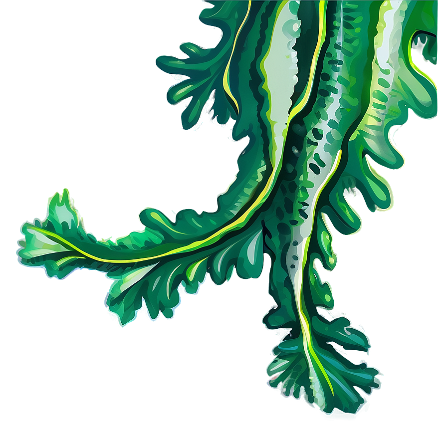 Green Seaweed Illustration Png Fqb73