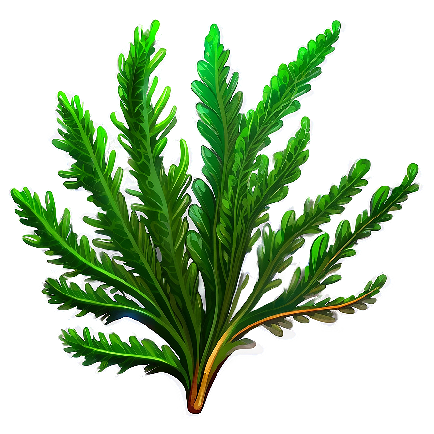 Green Seaweed Illustration PNG hug19 PNG with transparent background