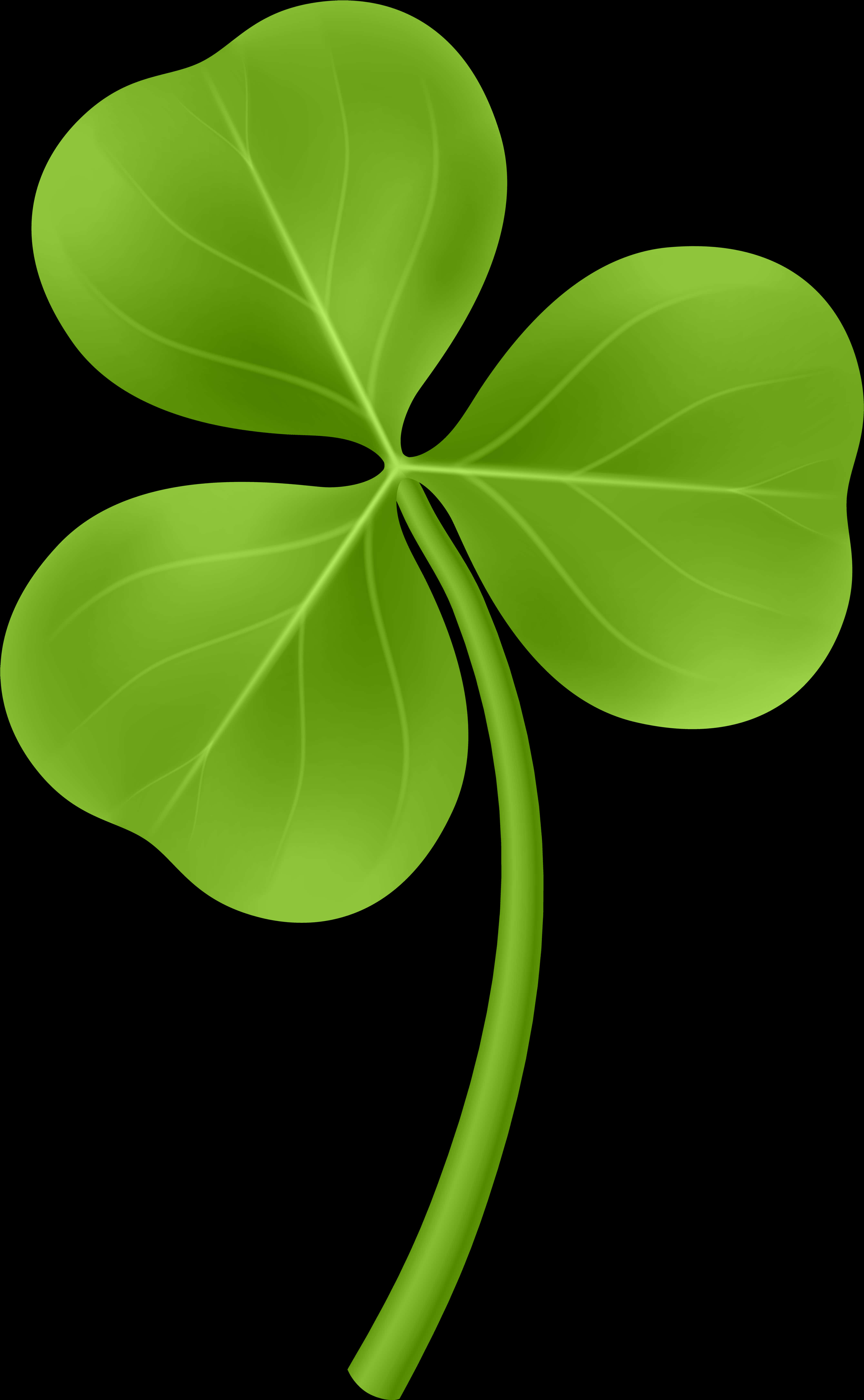 Green Shamrock Black Background