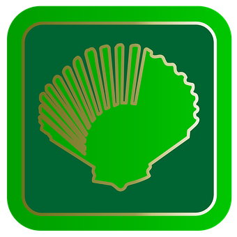 Green Shell Logo Icon PNG with transparent background