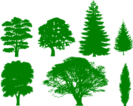Green Silhouette Treeson Black Background PNG with transparent background