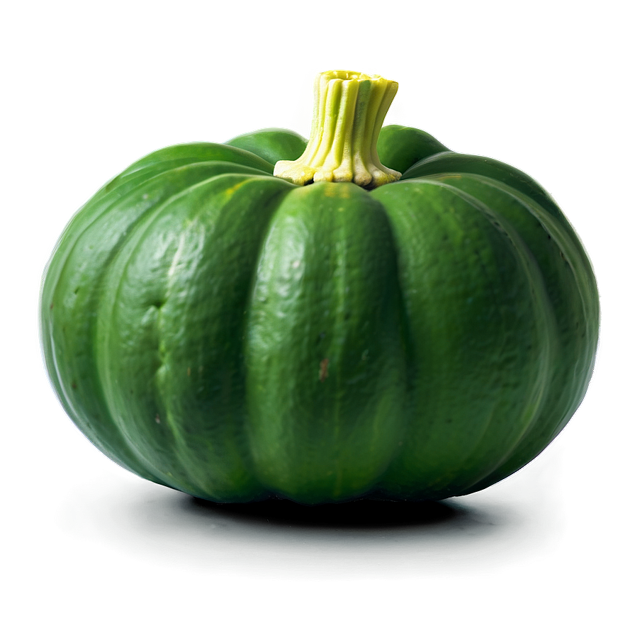 Green Squash PNG 06122024 PNG with transparent background