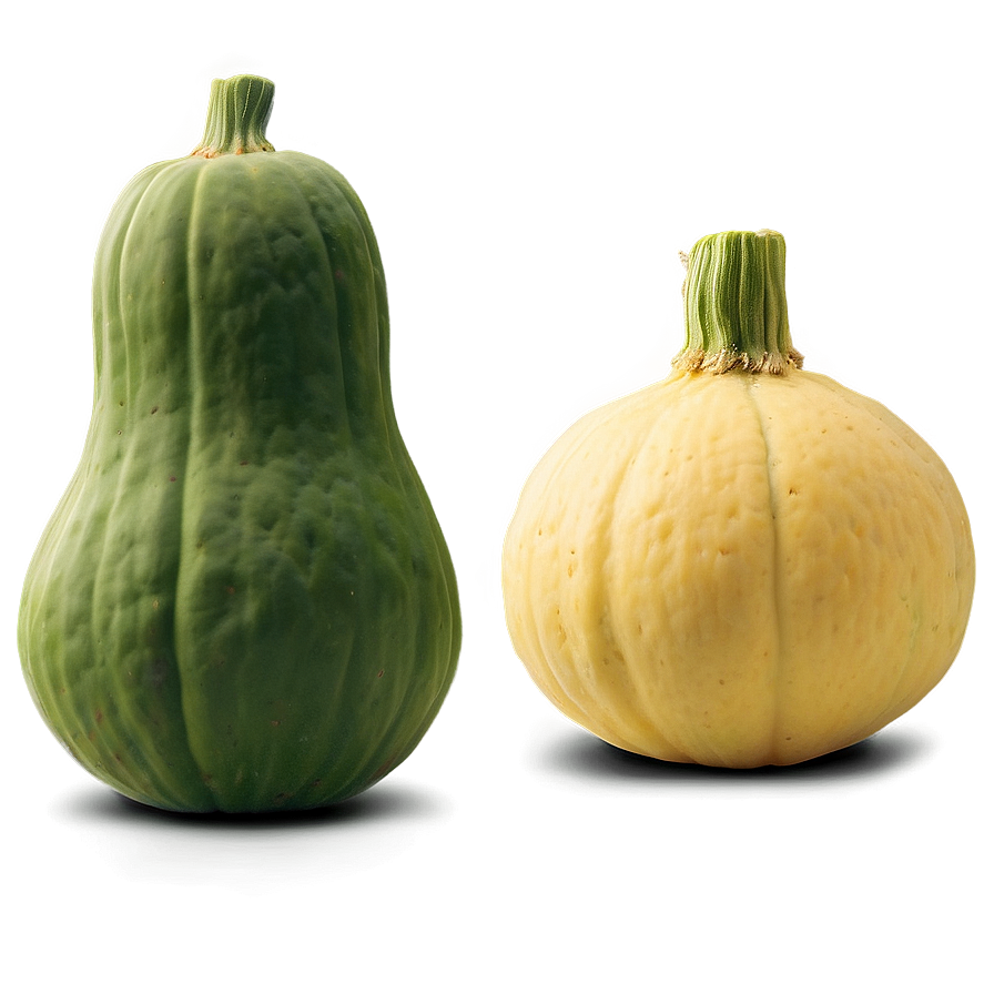 Green Squash Png 29