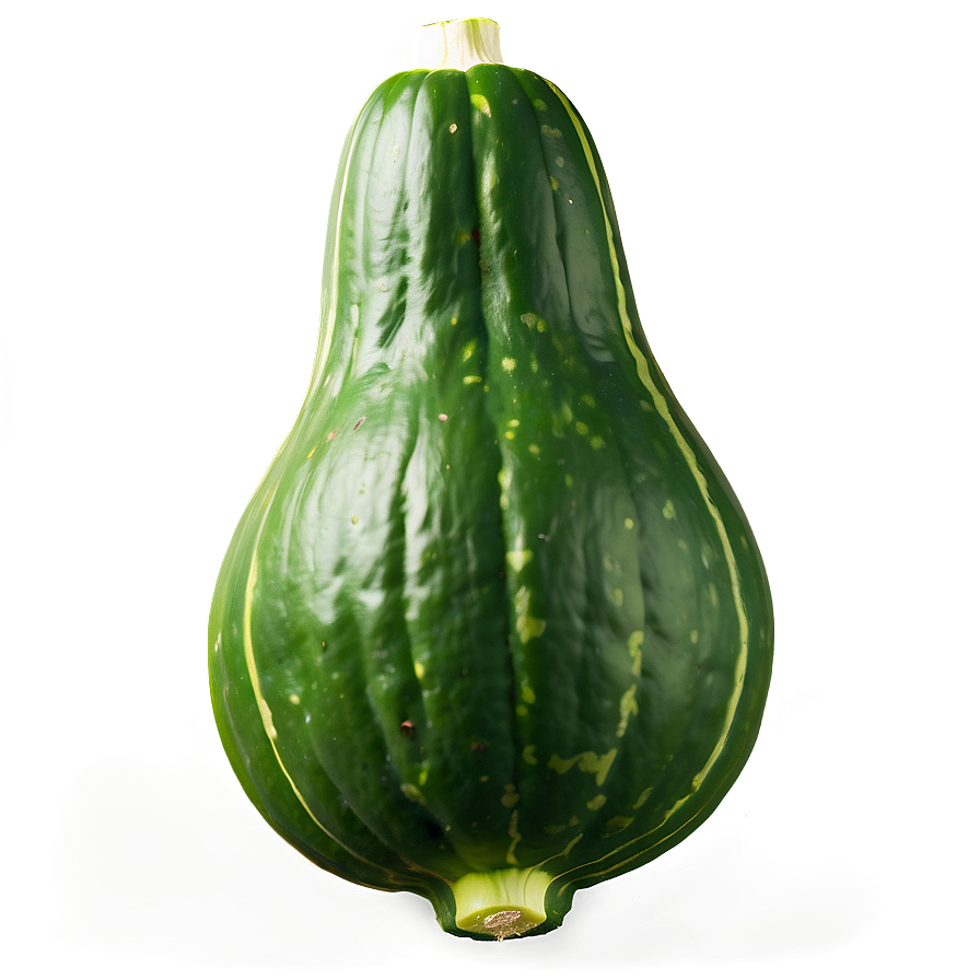 Green Squash PNG mtq PNG with transparent background