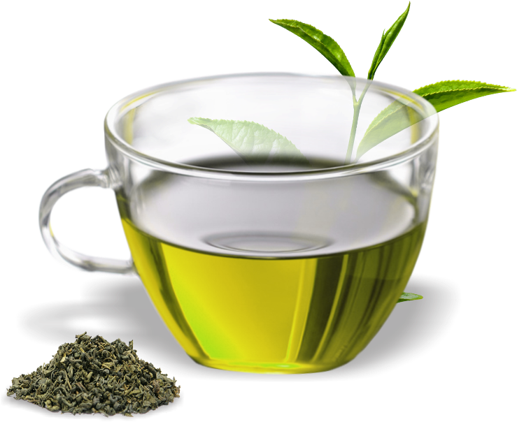 Green Tea Assam Tea Oolong Herbal Tea - Green Tea Cup Png, Transparent Png PNG with transparent background