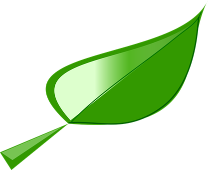 Green Vector Leaf Illustration