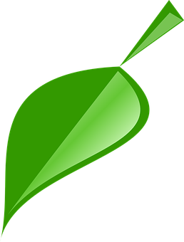 Green Vector Leaf Illustration