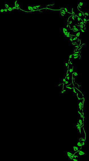 Green Vine Borders Graphic PNG image with a transparent background, free high-resolution download