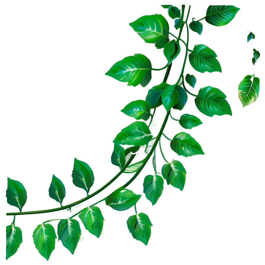 Green Vine Leaves Graphic PNG with transparent background