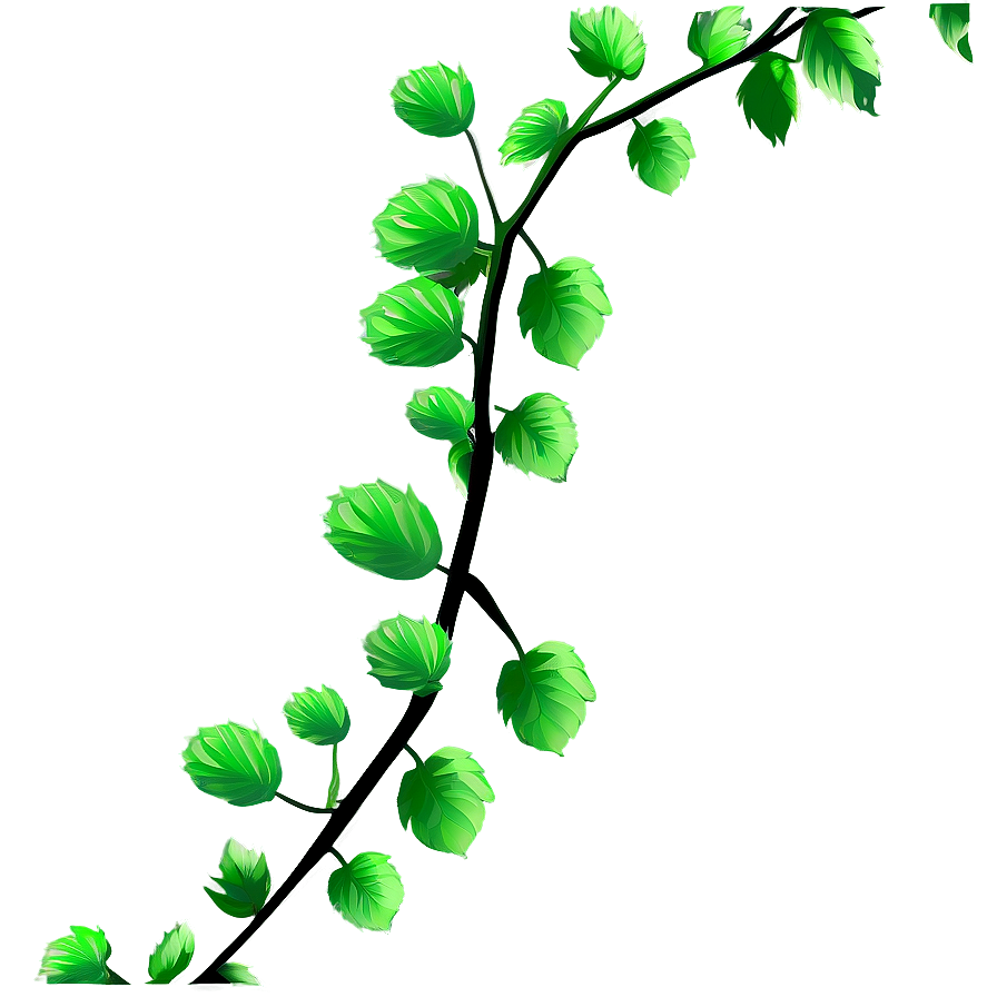 Green Vine Leaves Graphic PNG with transparent background