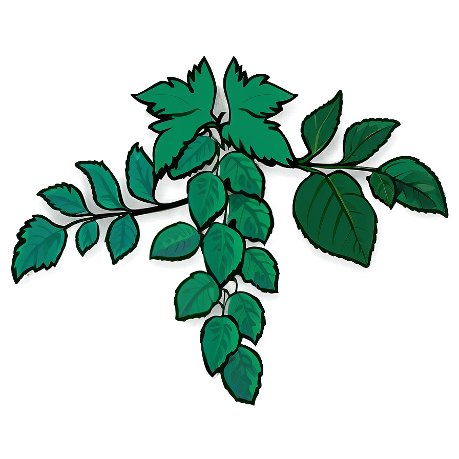 Green Vine Leaves Illustration