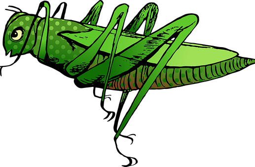 Green Vintage Insect Illustration