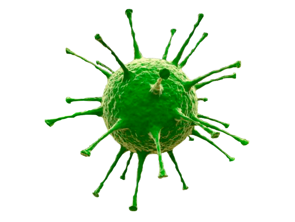 Green Virus Model3 D Rendering