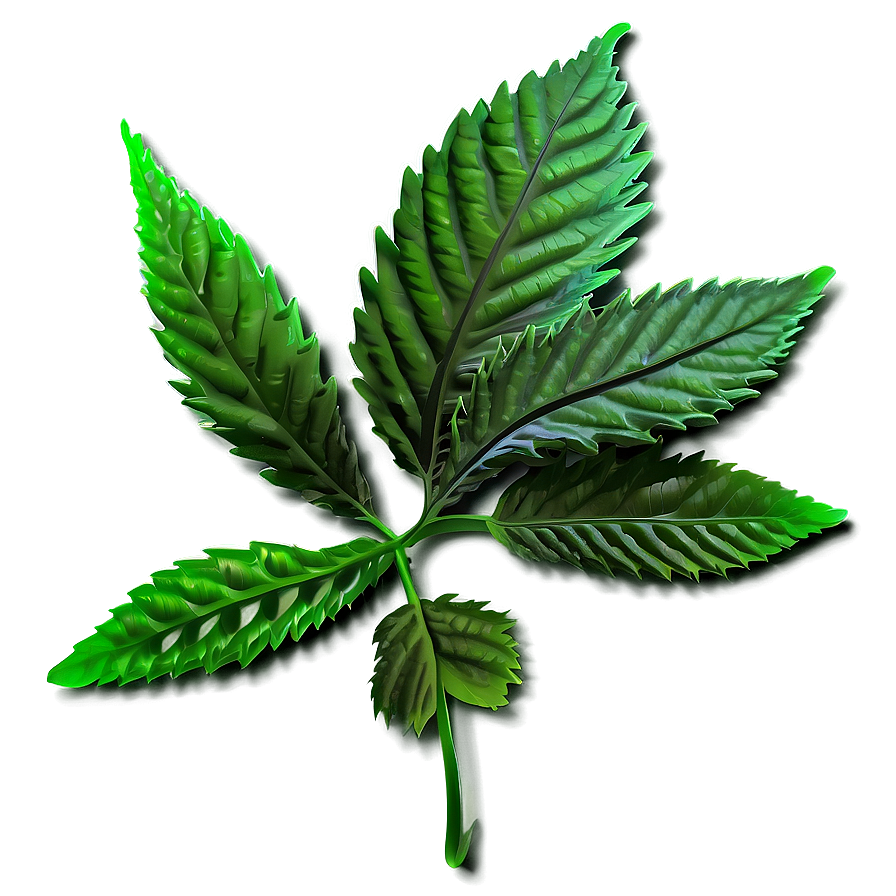 Green Weed Strain PNG 05032024 PNG with transparent background
