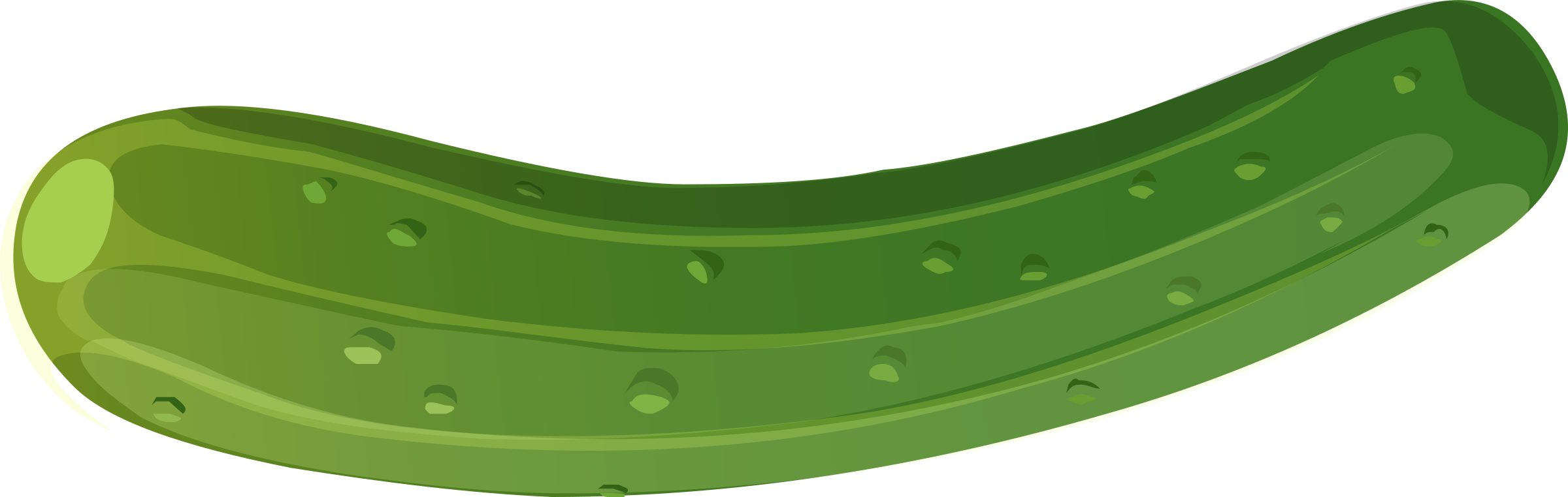 Green Zucchini Cartoon Illustration