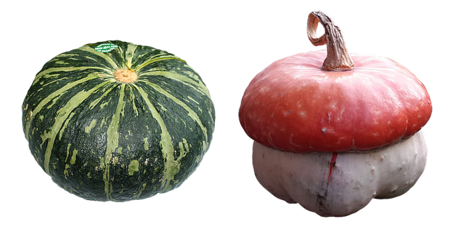 Greenand White Striped Pumpkinand Red Turban Squash