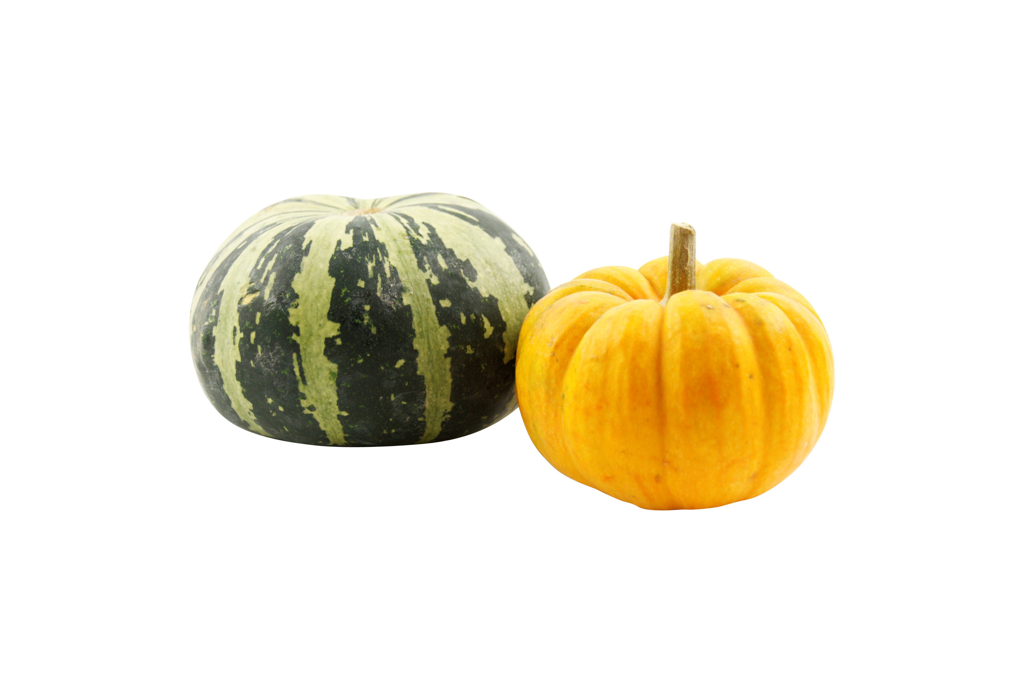Greenand Yellow Pumpkinson Black Background.jpg PNG with transparent background