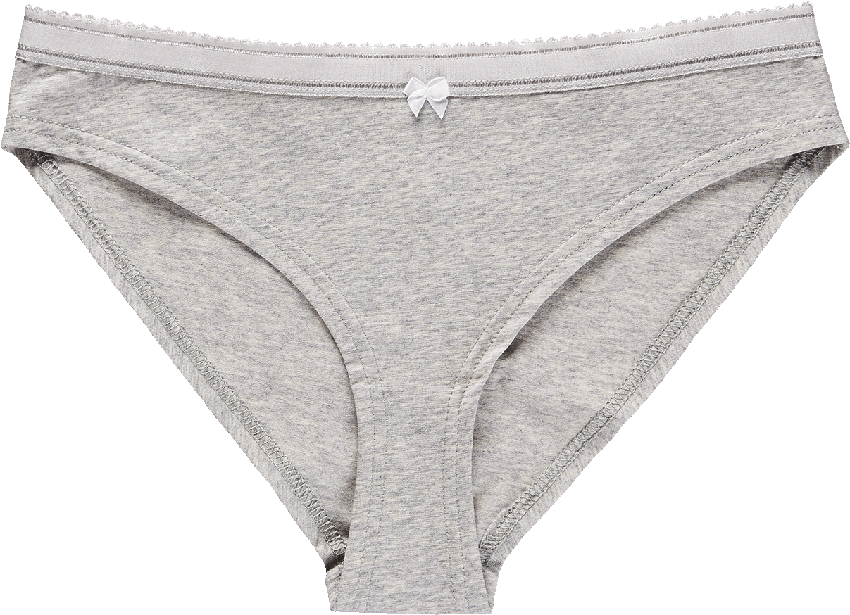 *bikini Slip Heather Grey - Bikini PNG image with a transparent background, free high-resolution download