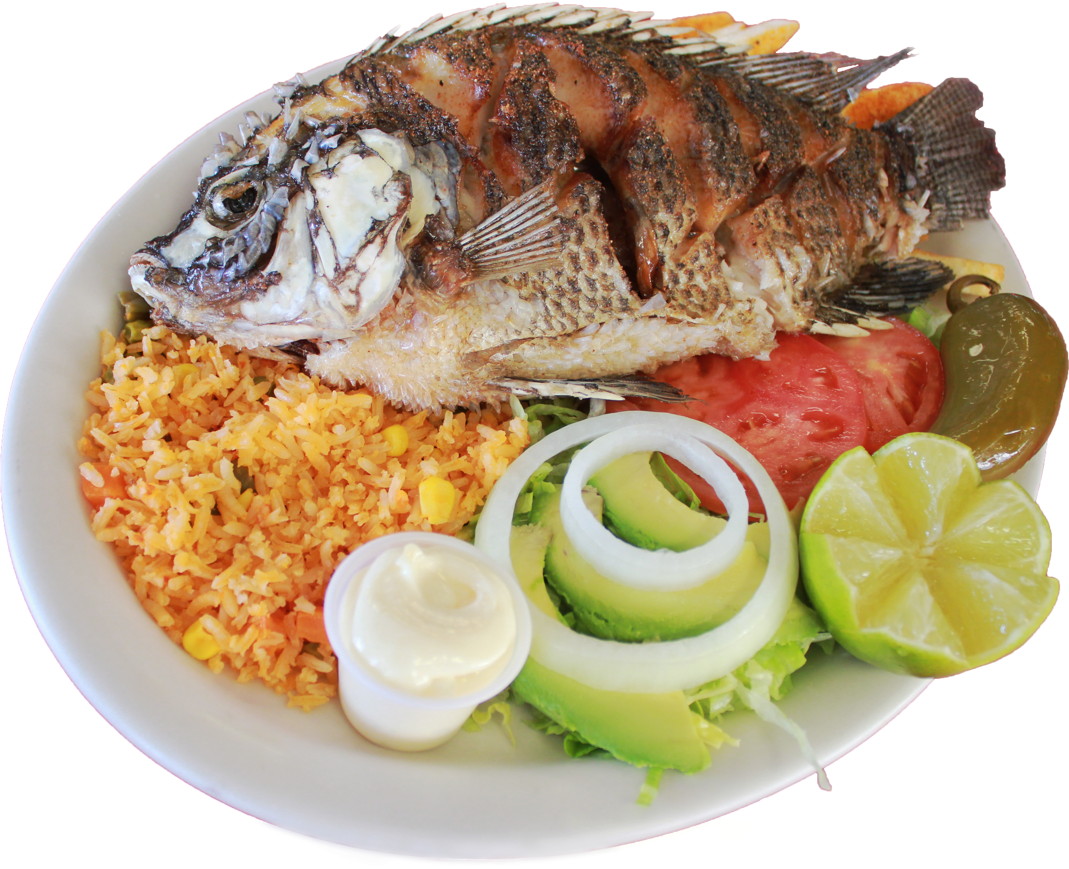 Grilled Fish With Riceand Salad