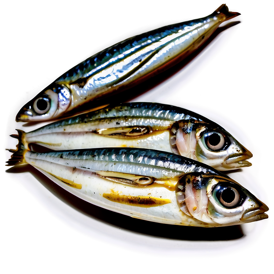 Grilled Sardine Png 89