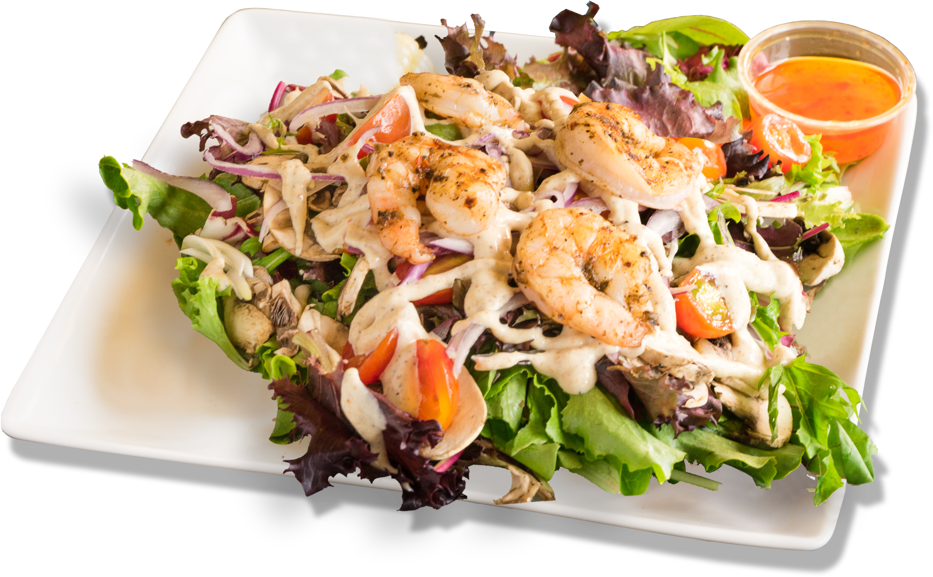 Grilled Shrimp Salad Dish