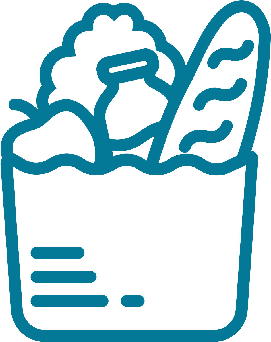 Grocery Bag Outline Icon PNG with transparent background