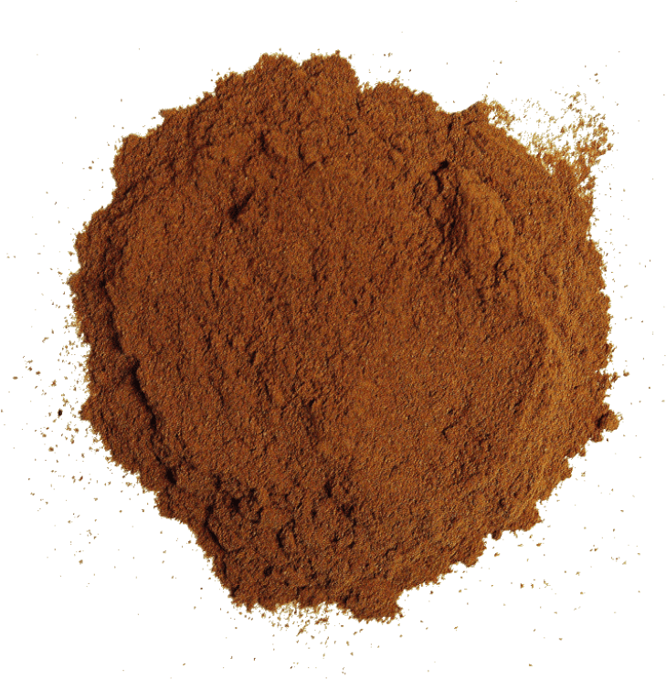 Ground Cinnamon Powder Texture