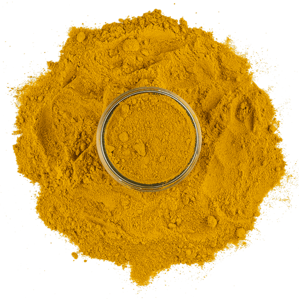 Ground Turmeric Powder Top View